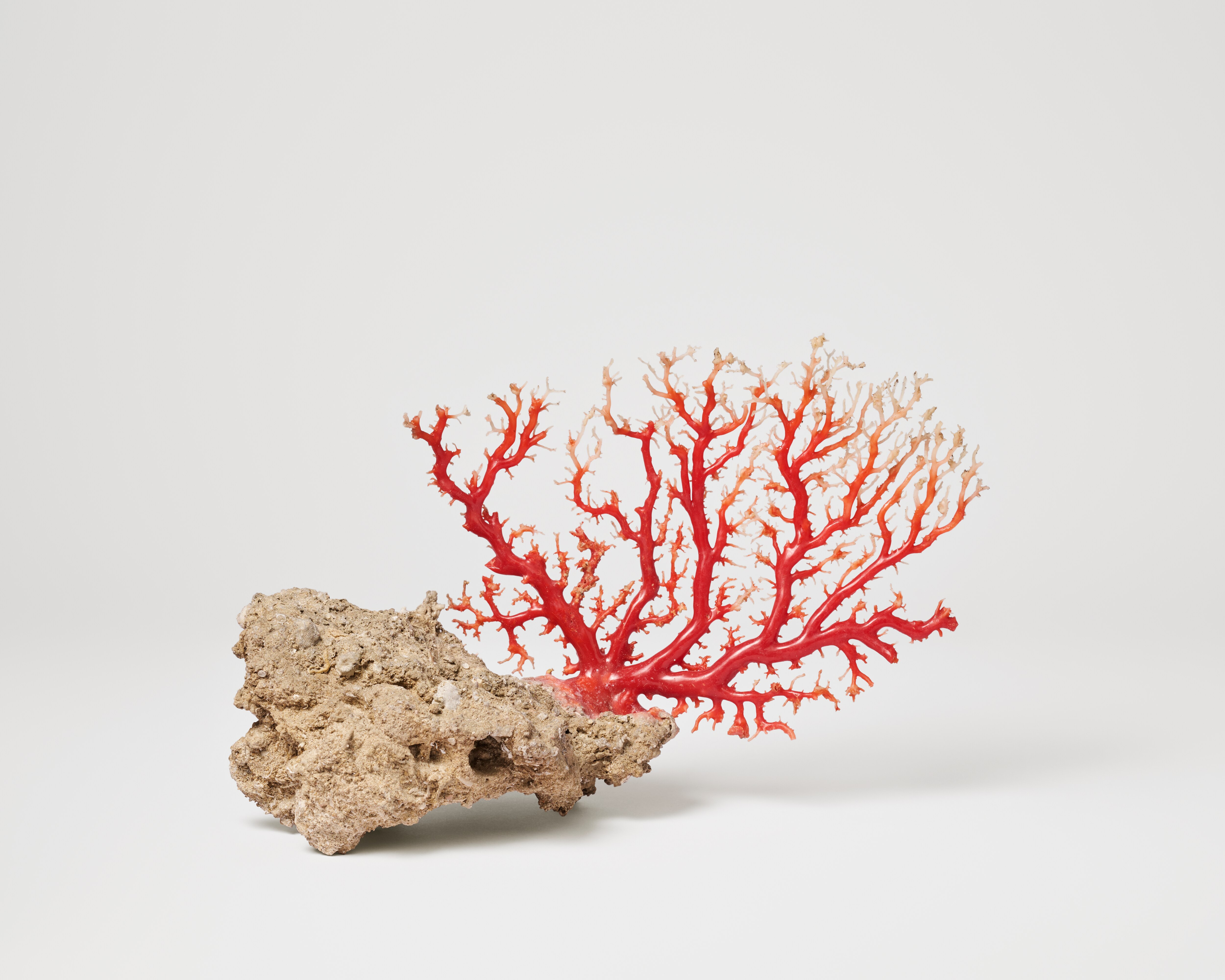 深珊藏珍」探索L'ÉCOLE 珠寶藝術學院最新展覽- Van Cleef & Arpels